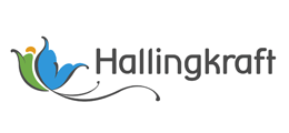 Hallingkraft har 4 omtaler på Bytt.no